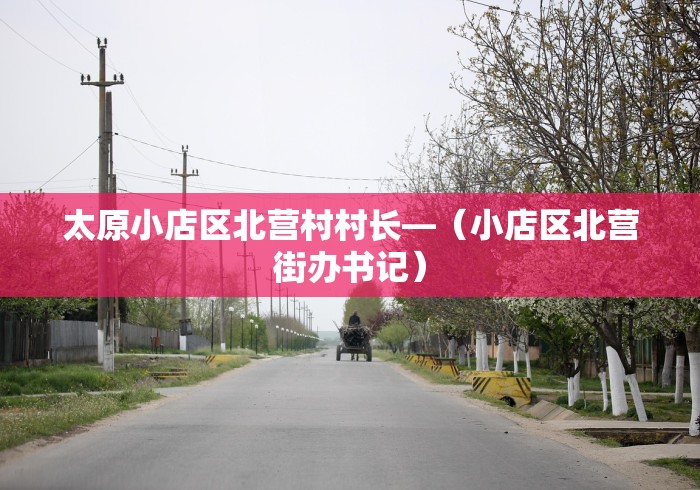 太原小店区北营村村长—(小店区北营街办书记) 太原小店区北营村村长—(小店区北营街办书记)