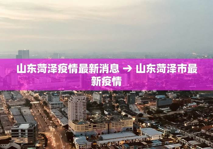 山东菏泽疫情最新消息 → 山东菏泽市最新疫情