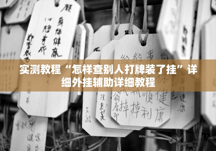 实测教程“怎样查别人打牌装了挂”详细外挂辅助详细教程