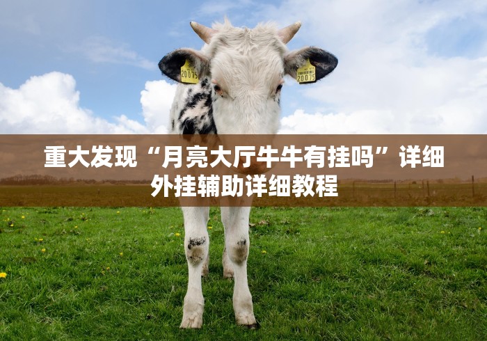 重大发现“月亮大厅牛牛有挂吗	”详细外挂辅助详细教程