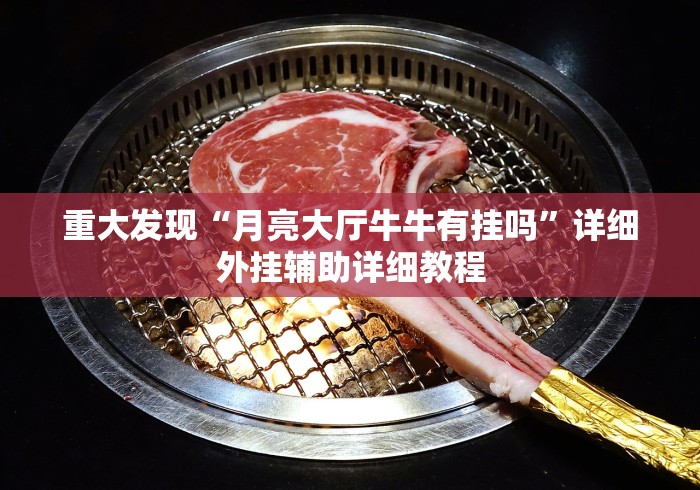 重大发现“月亮大厅牛牛有挂吗”详细外挂辅助详细教程