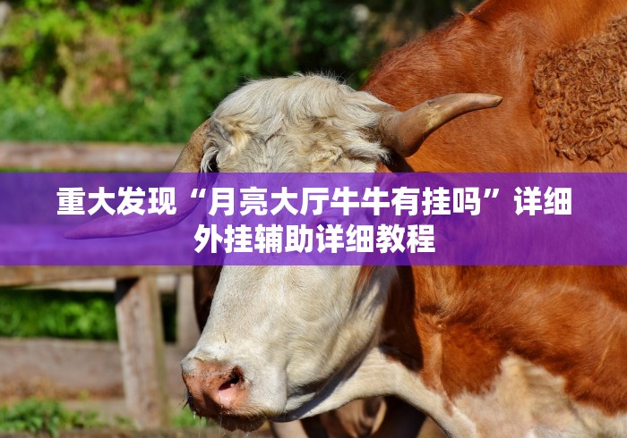 重大发现“月亮大厅牛牛有挂吗”详细外挂辅助详细教程