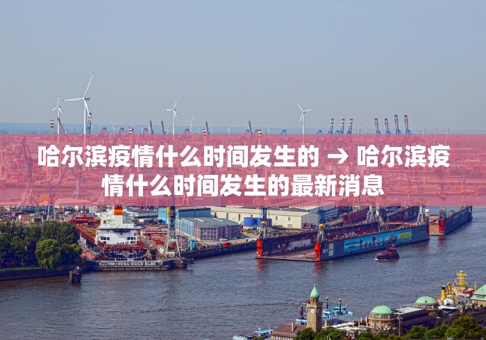 哈尔滨疫情什么时间发生的 → 哈尔滨疫情什么时间发生的最新消息