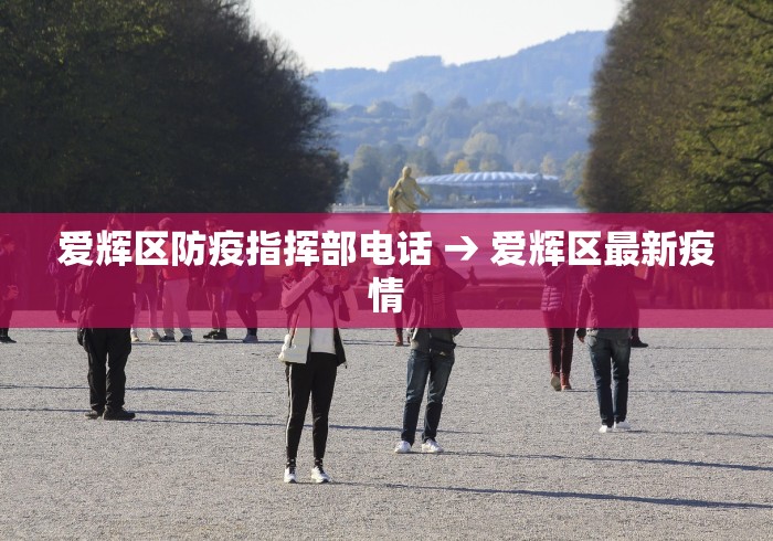 爱辉区防疫指挥部电话 → 爱辉区最新疫情