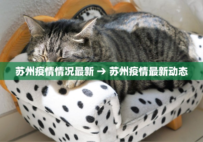 苏州疫情情况最新 → 苏州疫情最新动态