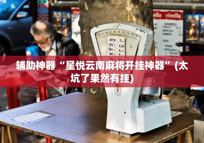 辅助神器“星悦云南麻将开挂神器”(太坑了果然有挂)