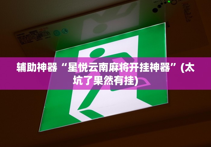 辅助神器“星悦云南麻将开挂神器	”(太坑了果然有挂)