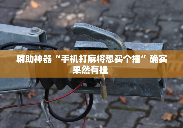 辅助神器“手机打麻将想买个挂”确实果然有挂 