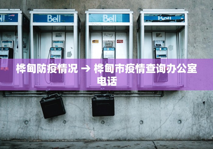 桦甸防疫情况 → 桦甸市疫情查询办公室电话