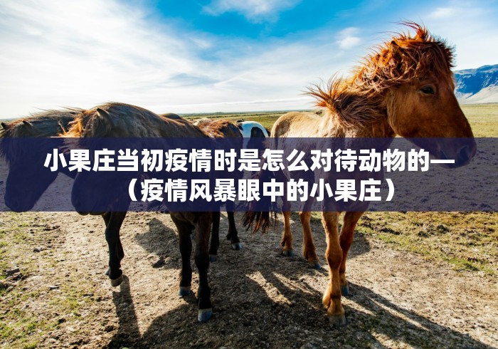 小果庄当初疫情时是怎么对待动物的—（疫情风暴眼中的小果庄）