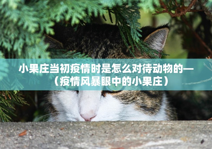 小果庄当初疫情时是怎么对待动物的—（疫情风暴眼中的小果庄）