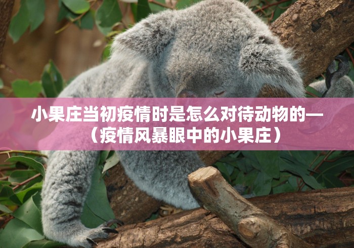 小果庄当初疫情时是怎么对待动物的—（疫情风暴眼中的小果庄）
