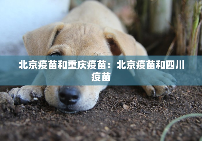 北京疫苗和重庆疫苗：北京疫苗和四川疫苗