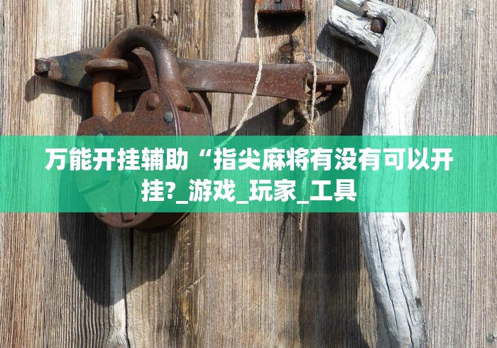 万能开挂辅助“指尖麻将有没有可以开挂?_游戏_玩家_工具