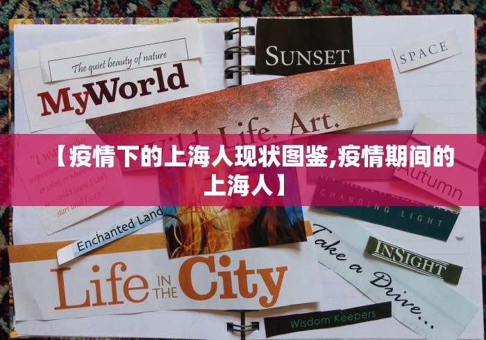 【疫情下的上海人现状图鉴,疫情期间的上海人】