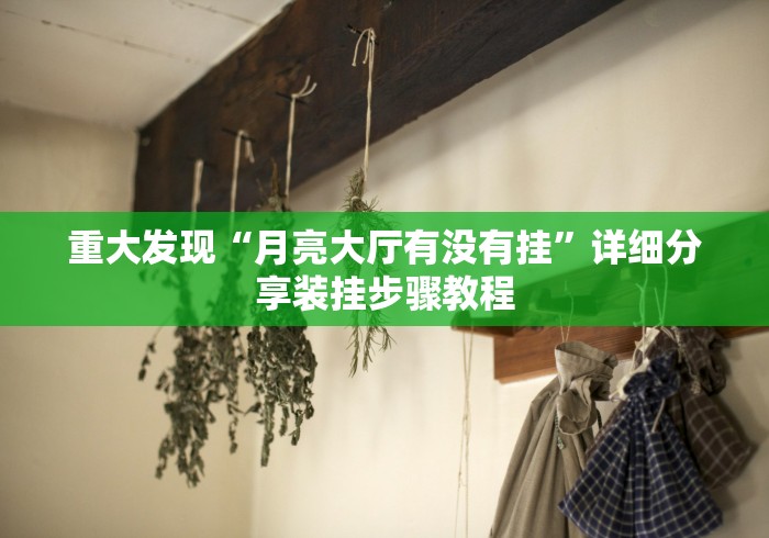 重大发现“月亮大厅有没有挂”详细分享装挂步骤教程
