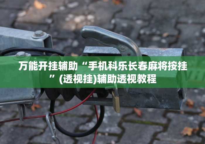 万能开挂辅助“手机科乐长春麻将按挂”(透视挂)辅助透视教程