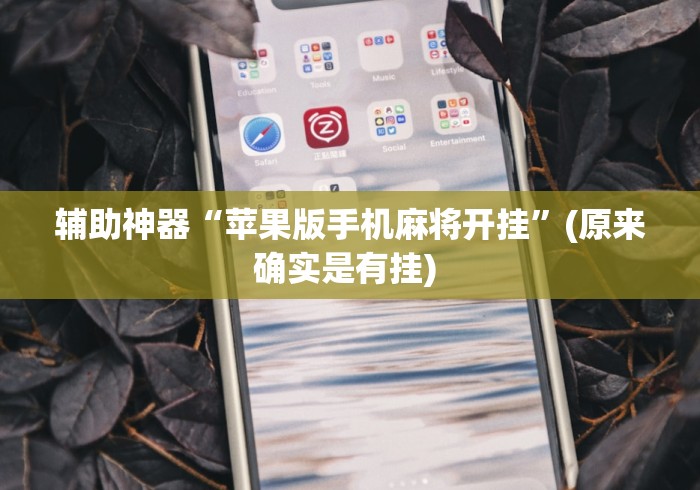 辅助神器“苹果版手机麻将开挂”(原来确实是有挂) 