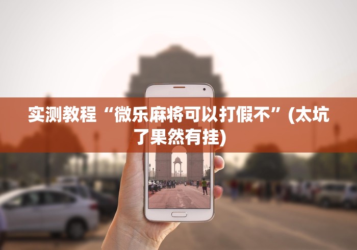 实测教程“微乐麻将可以打假不”(太坑了果然有挂)