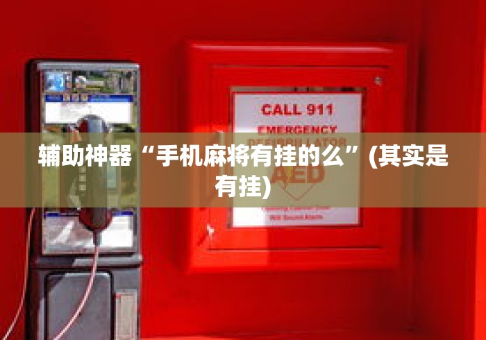 辅助神器“手机麻将有挂的么”(其实是有挂)