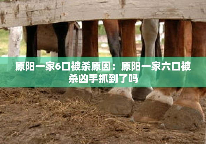 原阳一家6口被杀原因：原阳一家六口被杀凶手抓到了吗
