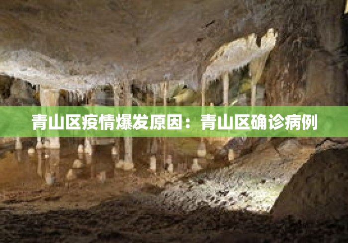 青山区疫情爆发原因：青山区确诊病例