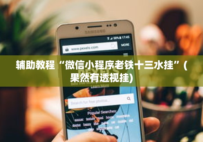 辅助教程“微信小程序老铁十三水挂	”(果然有透视挂)
