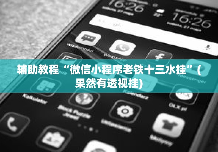 辅助教程“微信小程序老铁十三水挂”(果然有透视挂)