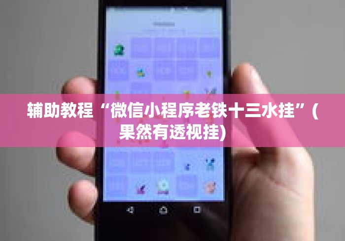 辅助教程“微信小程序老铁十三水挂”(果然有透视挂)