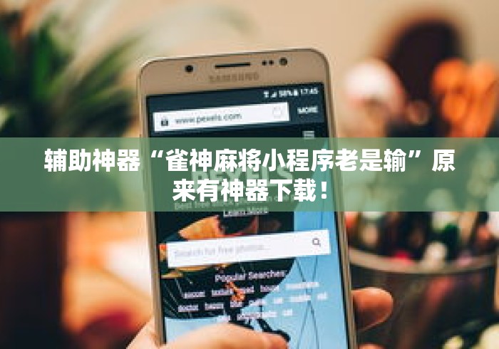 万能开挂辅助“微乐麻将有挂没”揭秘透视辅助万能挂
