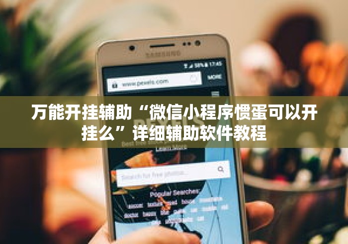 万能开挂辅助“微信小程序惯蛋可以开挂么”详细辅助软件教程
