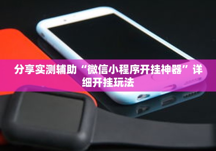 分享实测辅助“微信小程序开挂神器”详细开挂玩法