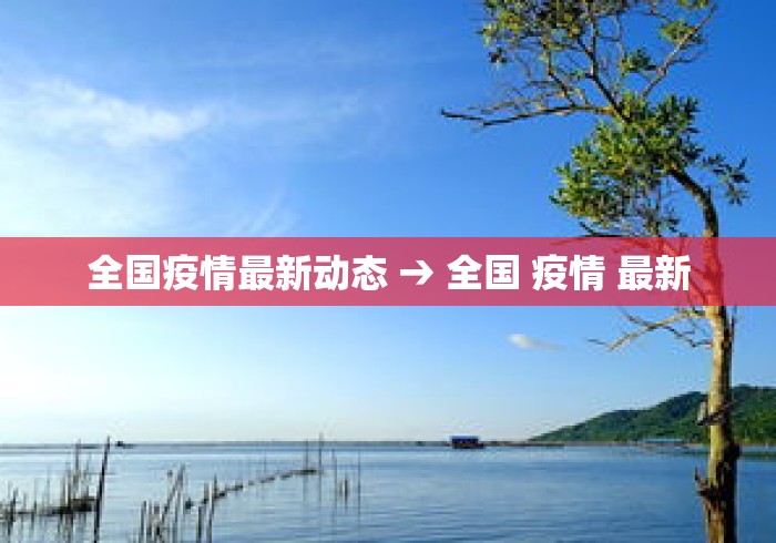 全国疫情最新动态 → 全国 疫情 最新
