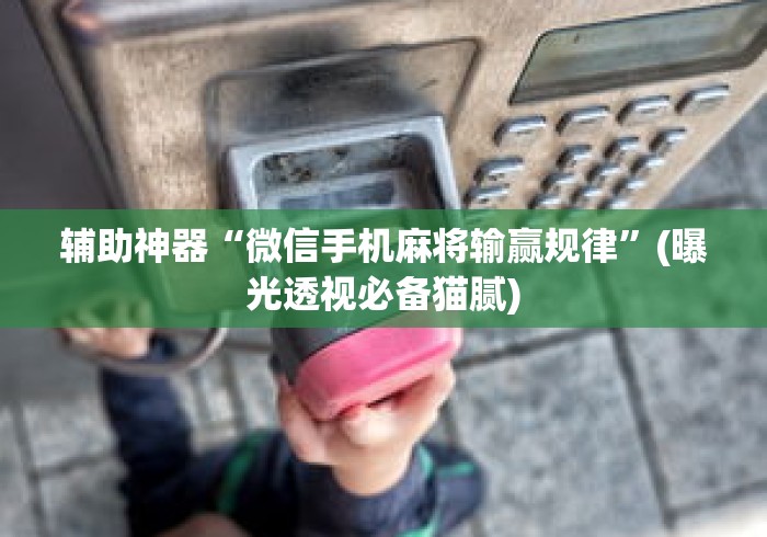 辅助神器“微信手机麻将输赢规律”(曝光透视必备猫腻)