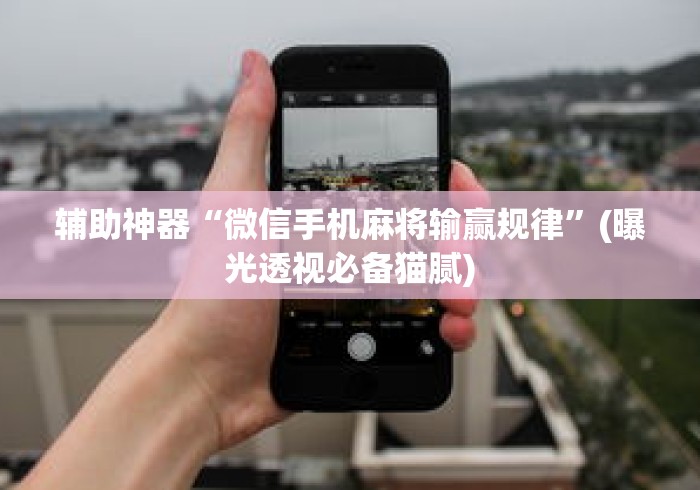 辅助神器“微信手机麻将输赢规律”(曝光透视必备猫腻)
