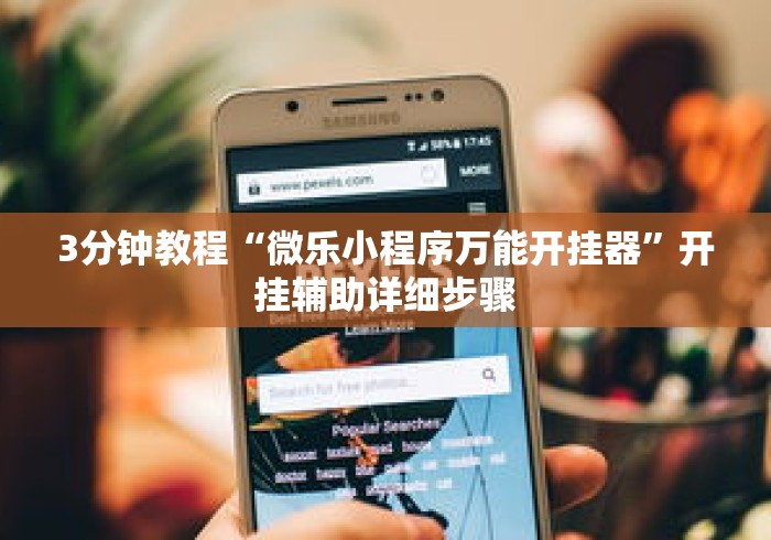 3分钟教程“微乐小程序万能开挂器”开挂辅助详细步骤