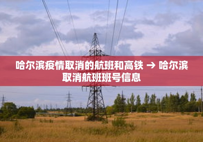 哈尔滨疫情取消的航班和高铁 → 哈尔滨取消航班班号信息