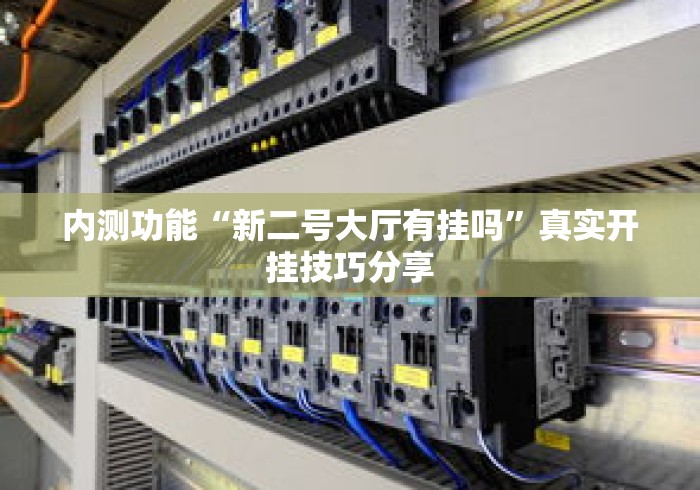 内测功能“新二号大厅有挂吗”真实开挂技巧分享