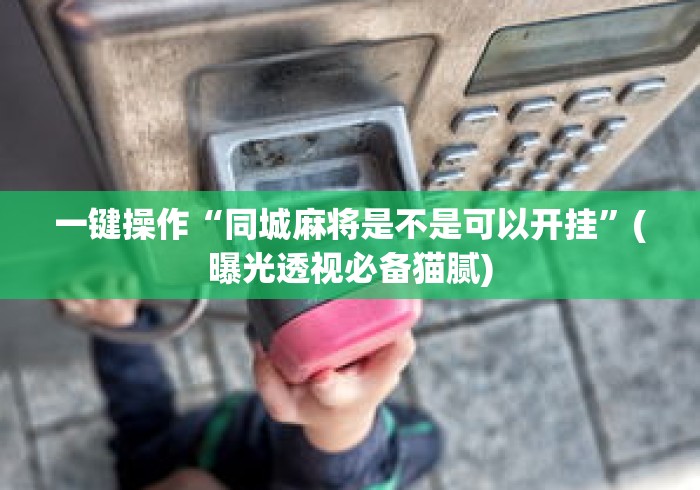 一键操作“同城麻将是不是可以开挂”(曝光透视必备猫腻)