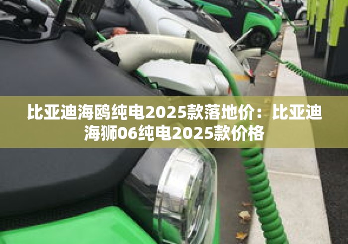 比亚迪海鸥纯电2025款落地价：比亚迪海狮06纯电2025款价格