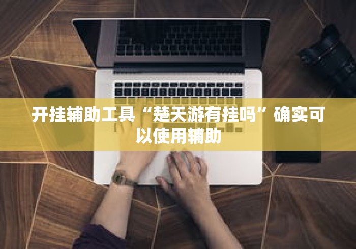 开挂辅助工具“楚天游有挂吗”确实可以使用辅助
