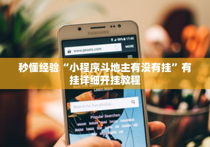 秒懂经验“小程序斗地主有没有挂”有挂详细开挂教程
