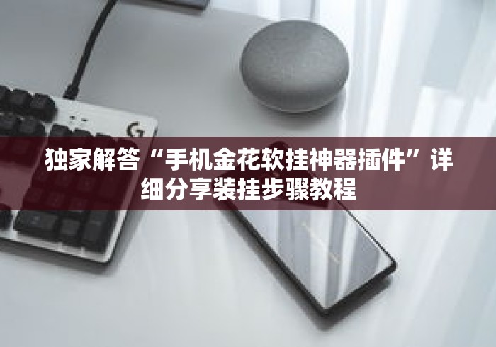 独家解答“手机金花软挂神器插件”详细分享装挂步骤教程