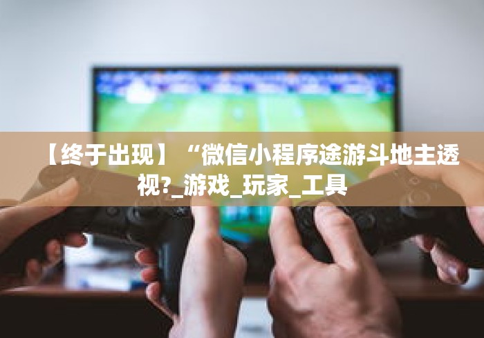 【终于出现】“微信小程序途游斗地主透视?_游戏_玩家_工具