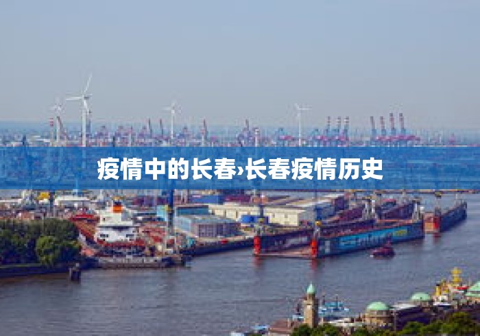 疫情中的长春›长春疫情历史