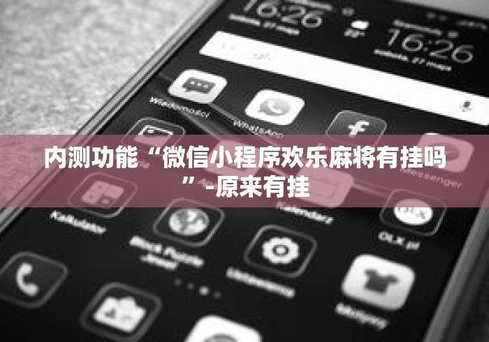 内测功能“微信小程序欢乐麻将有挂吗”-原来有挂