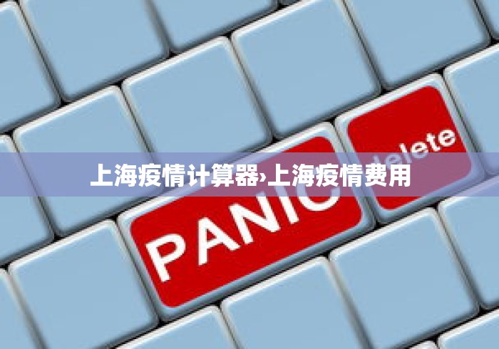 上海疫情计算器›上海疫情费用