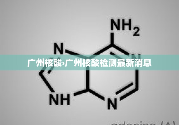 广州核酸›广州核酸检测最新消息 广州核酸›广州核酸检测最新消息