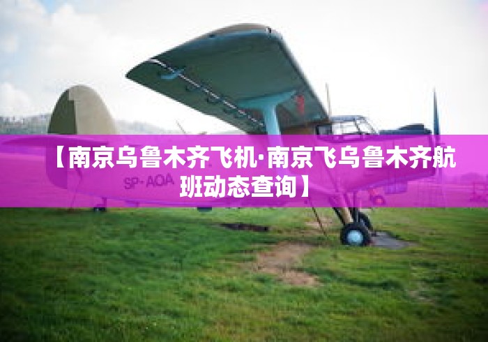 【南京乌鲁木齐飞机·南京飞乌鲁木齐航班动态查询】