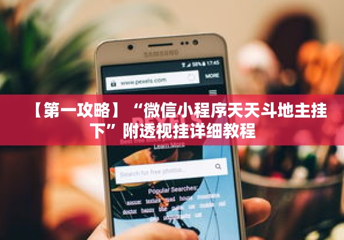 【第一攻略】“微信小程序天天斗地主挂下”附透视挂详细教程